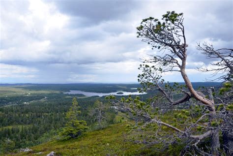  Yksikätinen  – Kimalteleva Maailman Luonnon Oivallus!